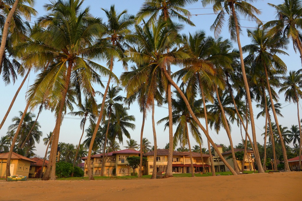 Unvergesslich: Unser kleines, persönliches Hotel direkt am einsamen Traumnstrand im Norden von Sri Lanka
